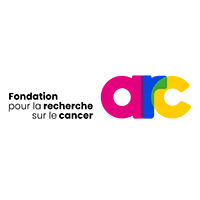 000000000000000000 copie